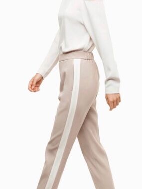 Aritizia Babaton Conan pants